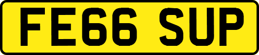 FE66SUP