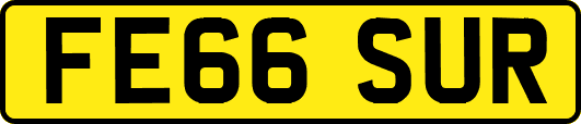FE66SUR