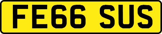 FE66SUS