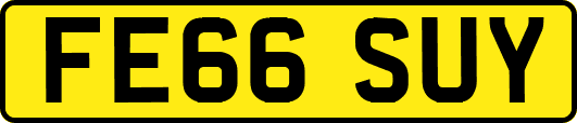 FE66SUY