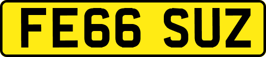 FE66SUZ