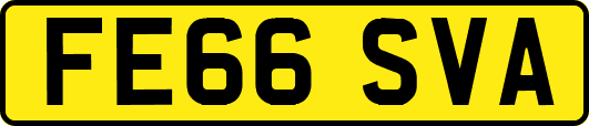 FE66SVA