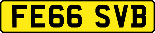 FE66SVB