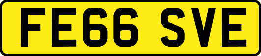 FE66SVE