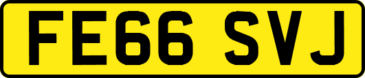 FE66SVJ