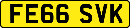 FE66SVK
