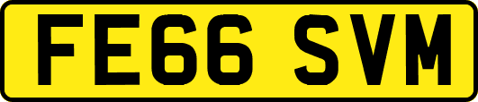 FE66SVM
