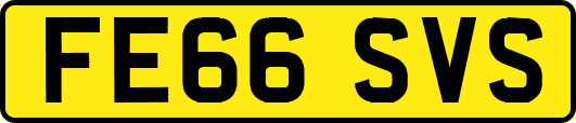 FE66SVS