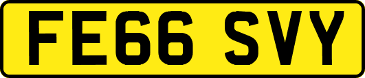 FE66SVY