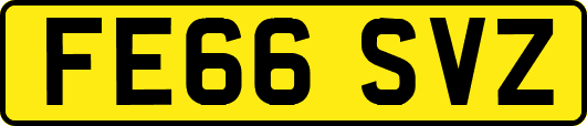 FE66SVZ