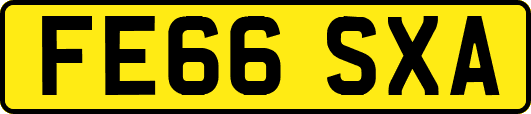 FE66SXA