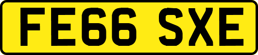FE66SXE