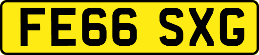 FE66SXG