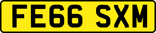 FE66SXM