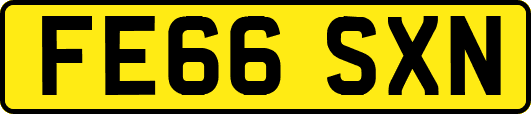 FE66SXN