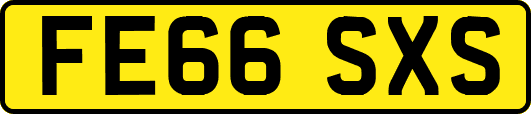 FE66SXS