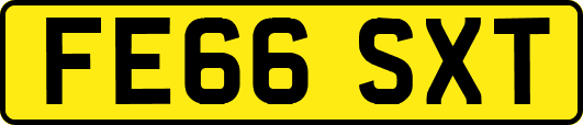 FE66SXT