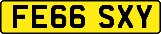 FE66SXY