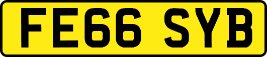 FE66SYB