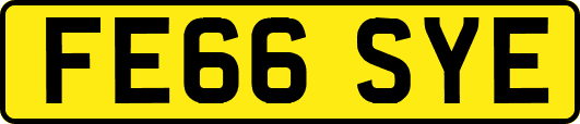 FE66SYE