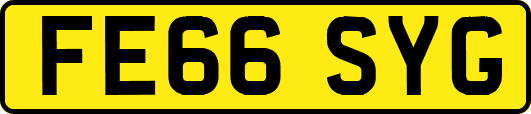 FE66SYG