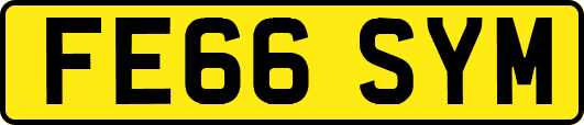 FE66SYM