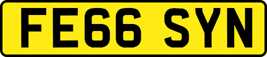 FE66SYN