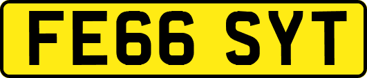 FE66SYT