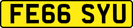 FE66SYU