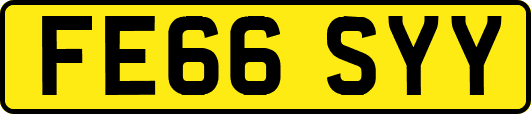 FE66SYY
