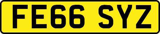 FE66SYZ
