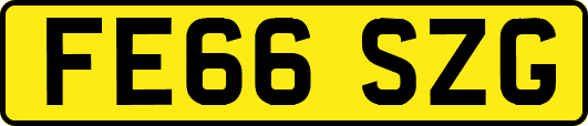 FE66SZG