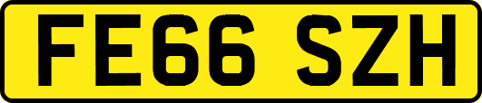 FE66SZH