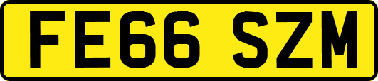 FE66SZM