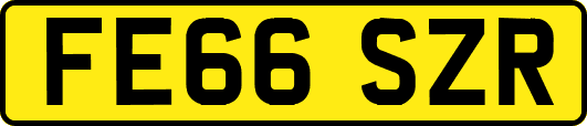 FE66SZR