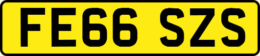 FE66SZS