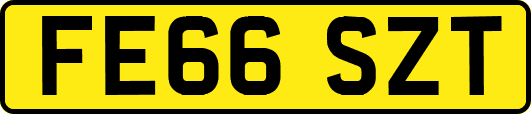 FE66SZT
