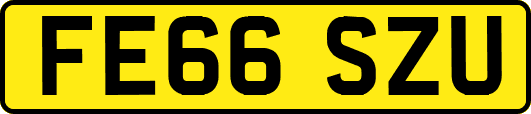 FE66SZU