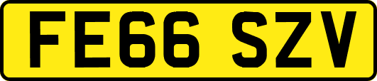 FE66SZV