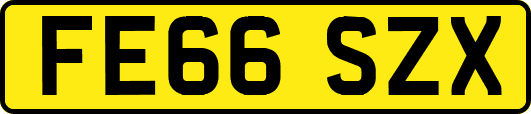 FE66SZX