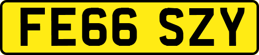 FE66SZY