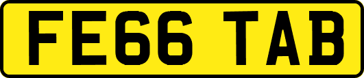 FE66TAB