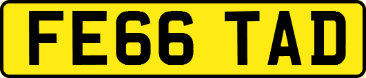 FE66TAD