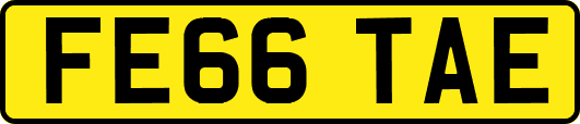 FE66TAE