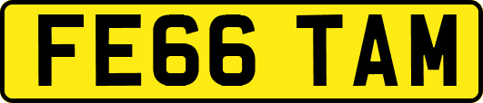 FE66TAM