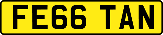 FE66TAN