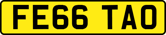 FE66TAO