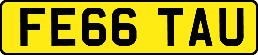FE66TAU