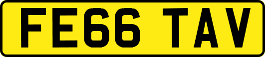 FE66TAV