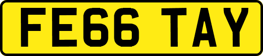 FE66TAY